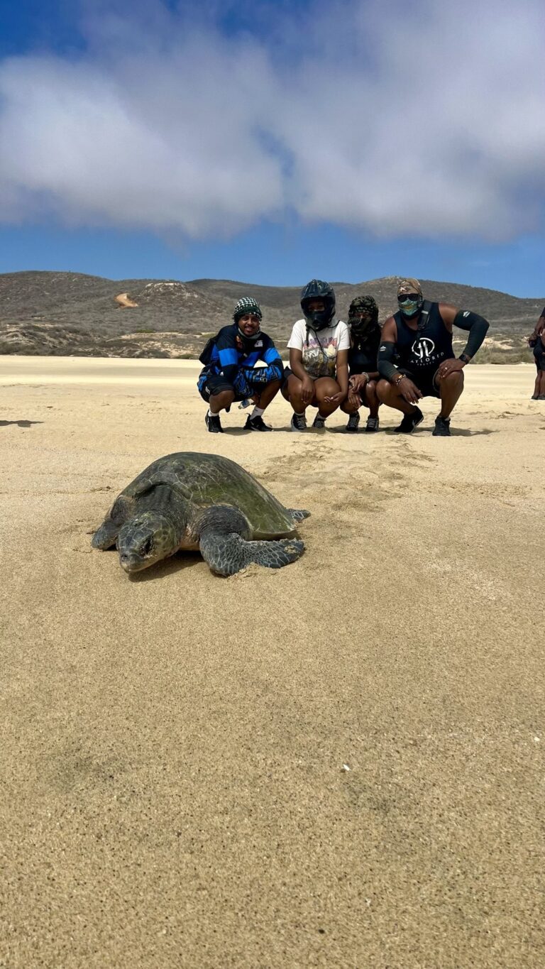 Taylored Travel group trip in Cabo San Lucas — photo 5