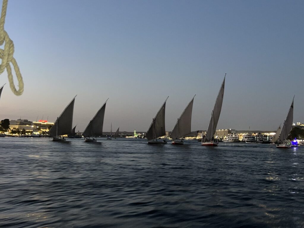 Taylored Travel group trip in Egypt — photo 13