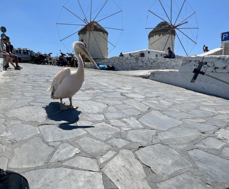 Taylored Travel group trip in Greece — photo 7