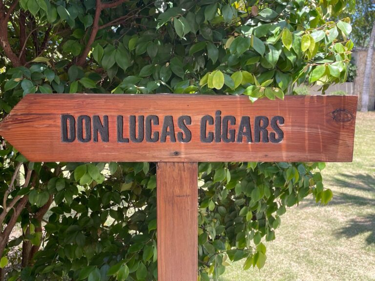 Taylored Travel group trip in Punta Cana — photo 4