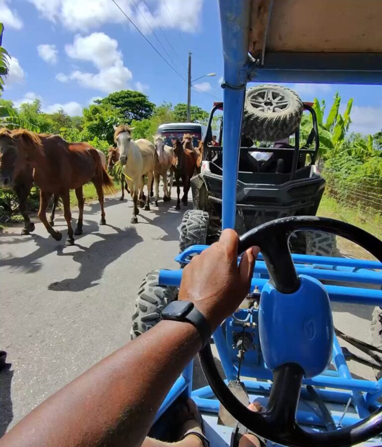 Taylored Travel group trip in Punta Cana — photo 12