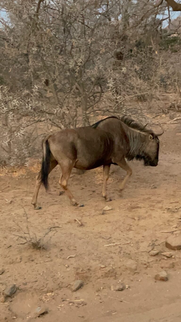 Taylored Travel group trip in South Africa — photo 13