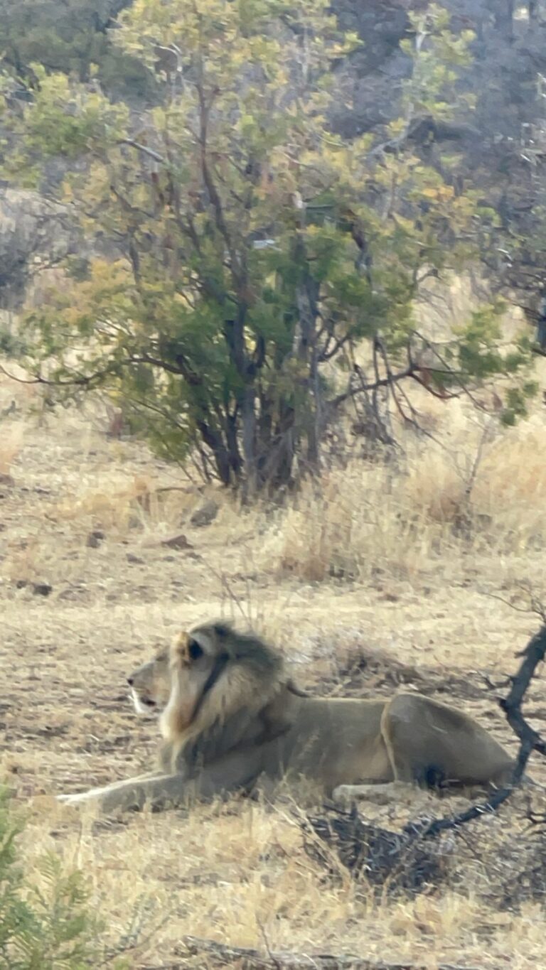 Taylored Travel group trip in South Africa — photo 15