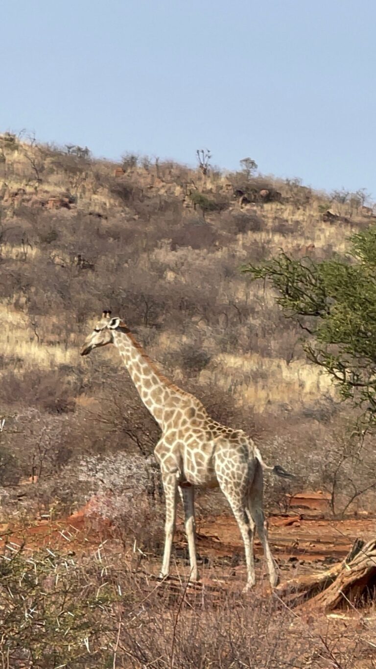 Taylored Travel group trip in South Africa — photo 17