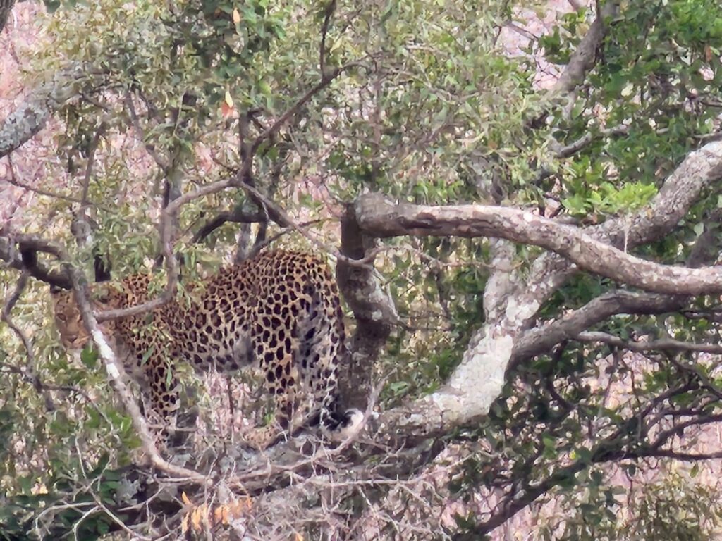 Taylored Travel group trip in South Africa — photo 37