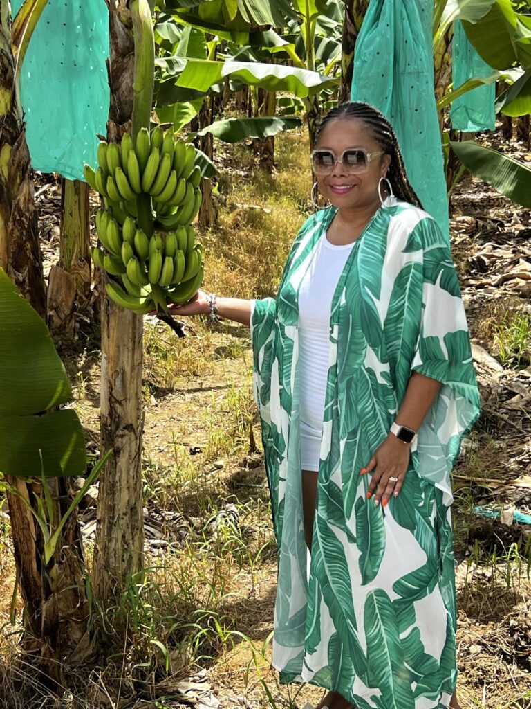 Taylored Travel group trip in St. Lucia — photo 4
