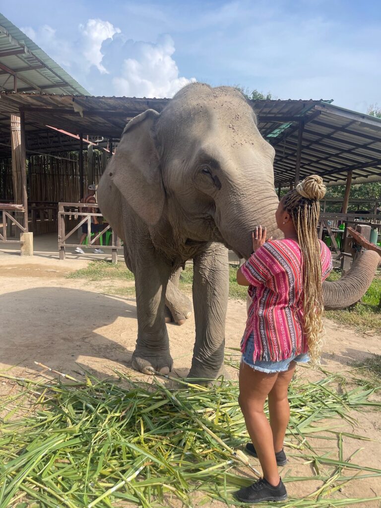 Taylored Travel group trip in Thailand — photo 2